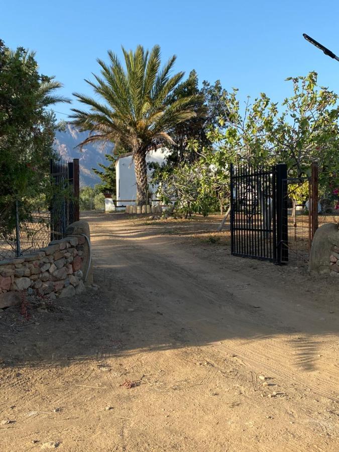 Villa Bianca Tertenìa Eksteriør billede